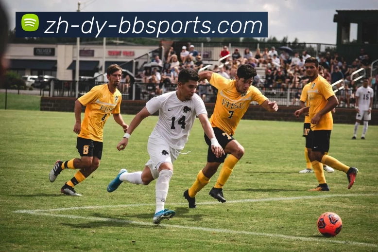 BBSport体育APP下载平台生态图